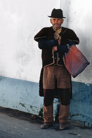 Shepherd in town
Portugal