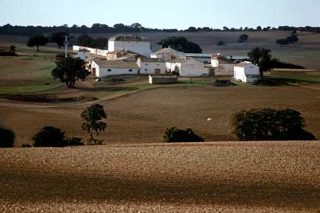Farm
Near Evora, Portugal
