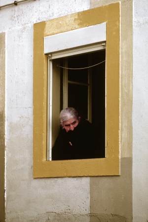 Spectator
Obidos, Portugal
