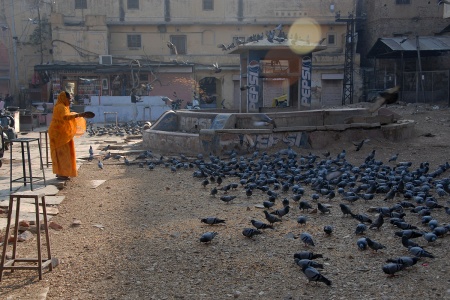 Feeding BirdsJaipur, India