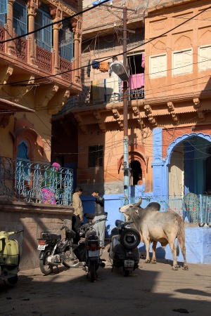 Jodhpur, India