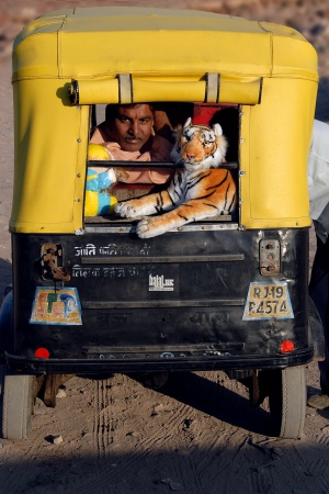 Driver and MascotJodhpur, India