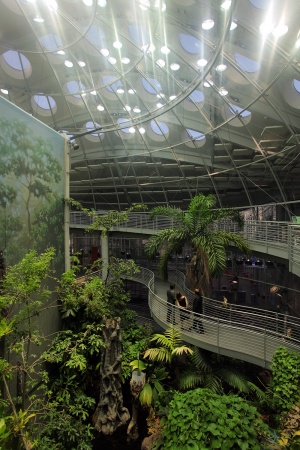 Academy of Science
San Francisco, California