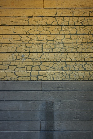 Immigration Station Dormatory Poems
Angel Island
San Francisco,California