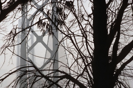Bay Bridge
Yerba Buena Island, California