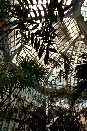 Conservatory, Golden Gate ParkSan Francisco, California