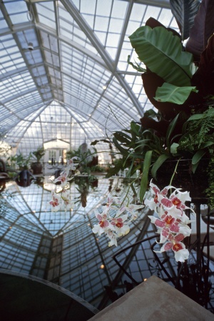 Conservatory of Flowers
San Francisco, California