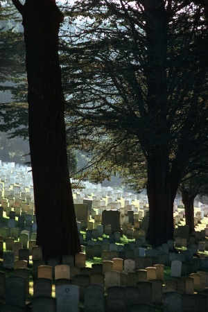 The PresidioSan Francisco, California