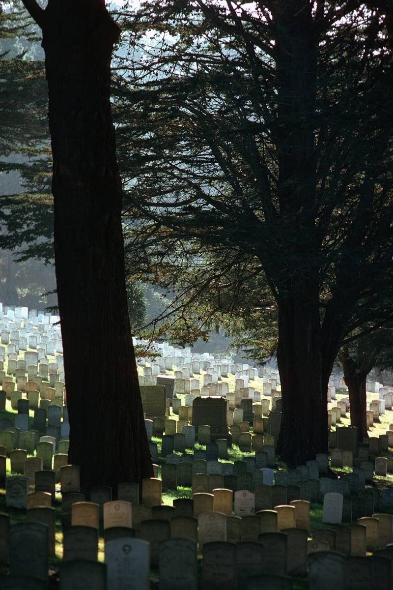 bill-hocker-the-presidio-san-francisco-california-1974