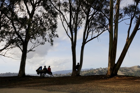 Perimiter Road
Angel Island
San Francisco,California
