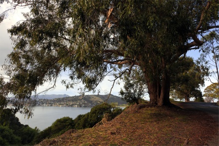 Perimeter Road
Angel Island
San Francisco,California