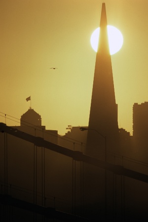 Transamerica & Mark HopkinsFrom Yerba Buena Island, California