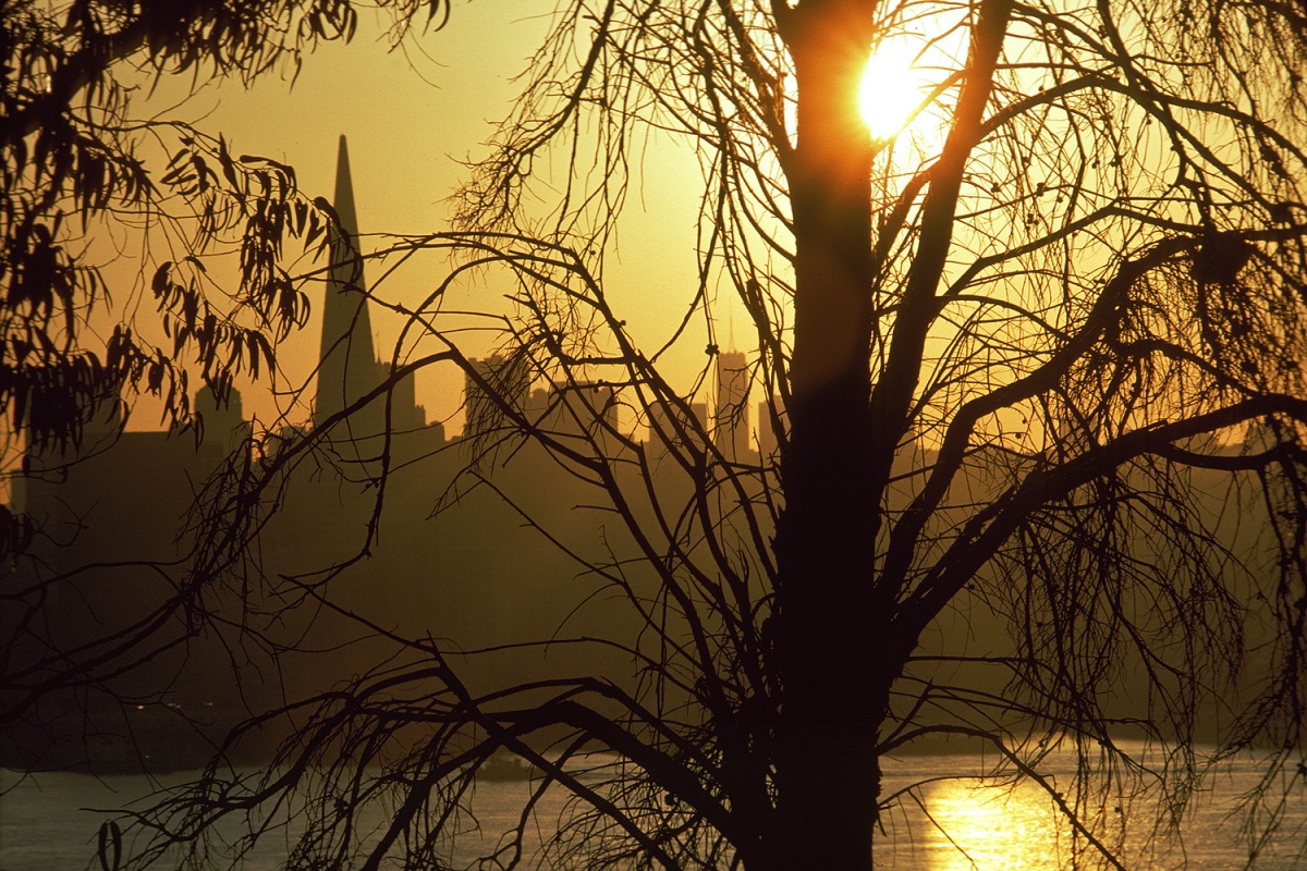 bill-hocker-san-francisco-skyline-from-yerba-buena-island-california-1974
