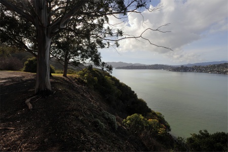 Perimeter Road
Angel Island
San Francisco,California
