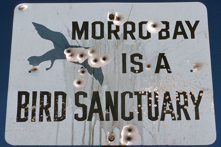 bill-hocker--morro-bay-california-1972