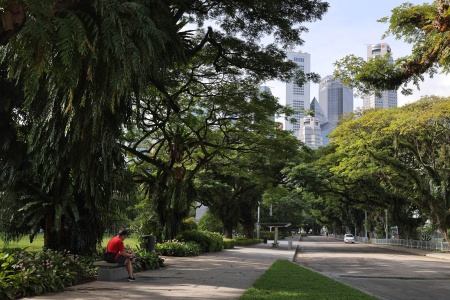 Esplanade Park
Singapore