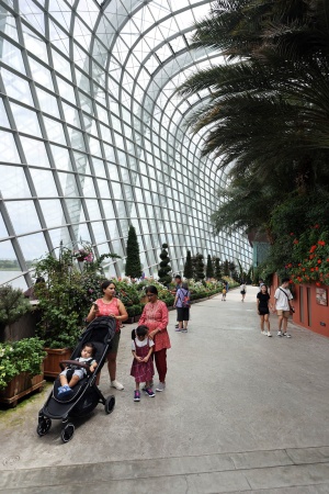 Flower Dome
Gardens by the Bay
Singapore