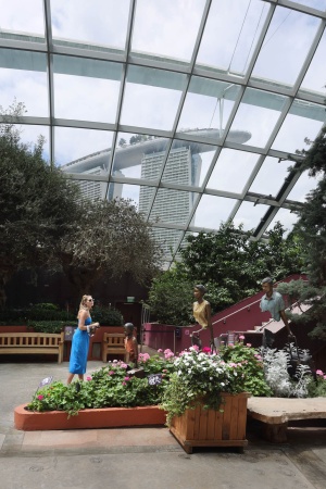 Flower Dome
Gardens by the Bay
Singapore