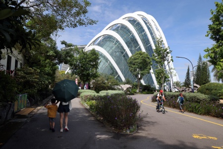 Cloud Forest Dome
Gardens By the Bay
Singapore