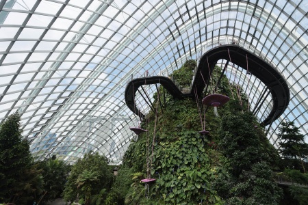 Cloud Forest
Gardens by the Bsy
SIngapore