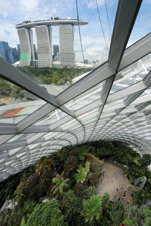 Cloud Forest
Gardens by the Bay
Singapore
