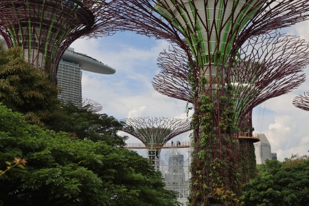 Gardens by the Bay
Singapore