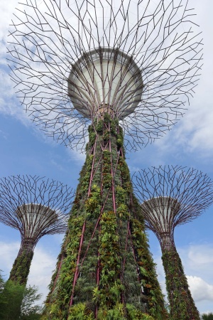 Gardens by the Bay
SIngapore