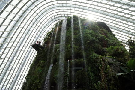 Cloud Forest
Gardens by the Bay
Singapore