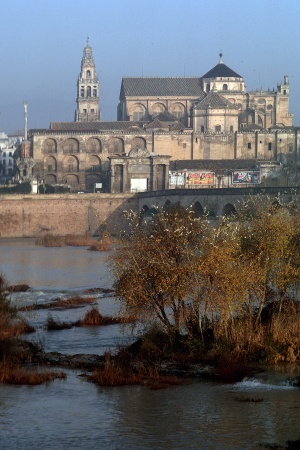 Mosque and Cathedral
Córdoba, Spain
