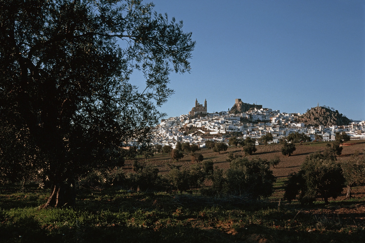 bill-hocker-olvera-spain-1983