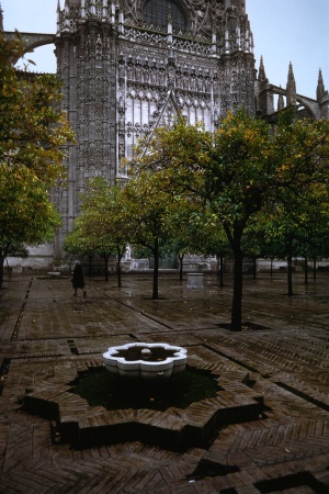 Cathedral Courtyard
Sevilla, Spain
