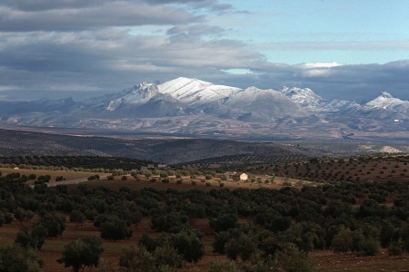 	Sierra NevadaAndalucia, Spain