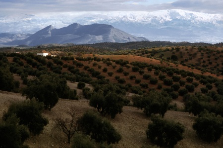 Sierra Nevada
Near Granada, Spain
