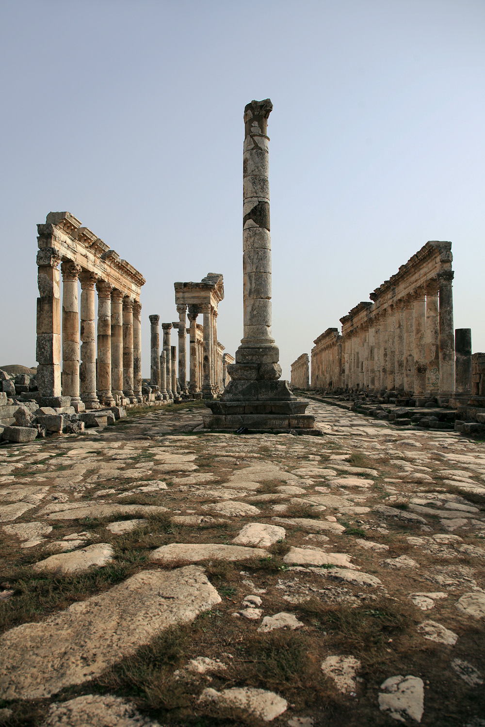 bill-hocker-apamea-syria-2008