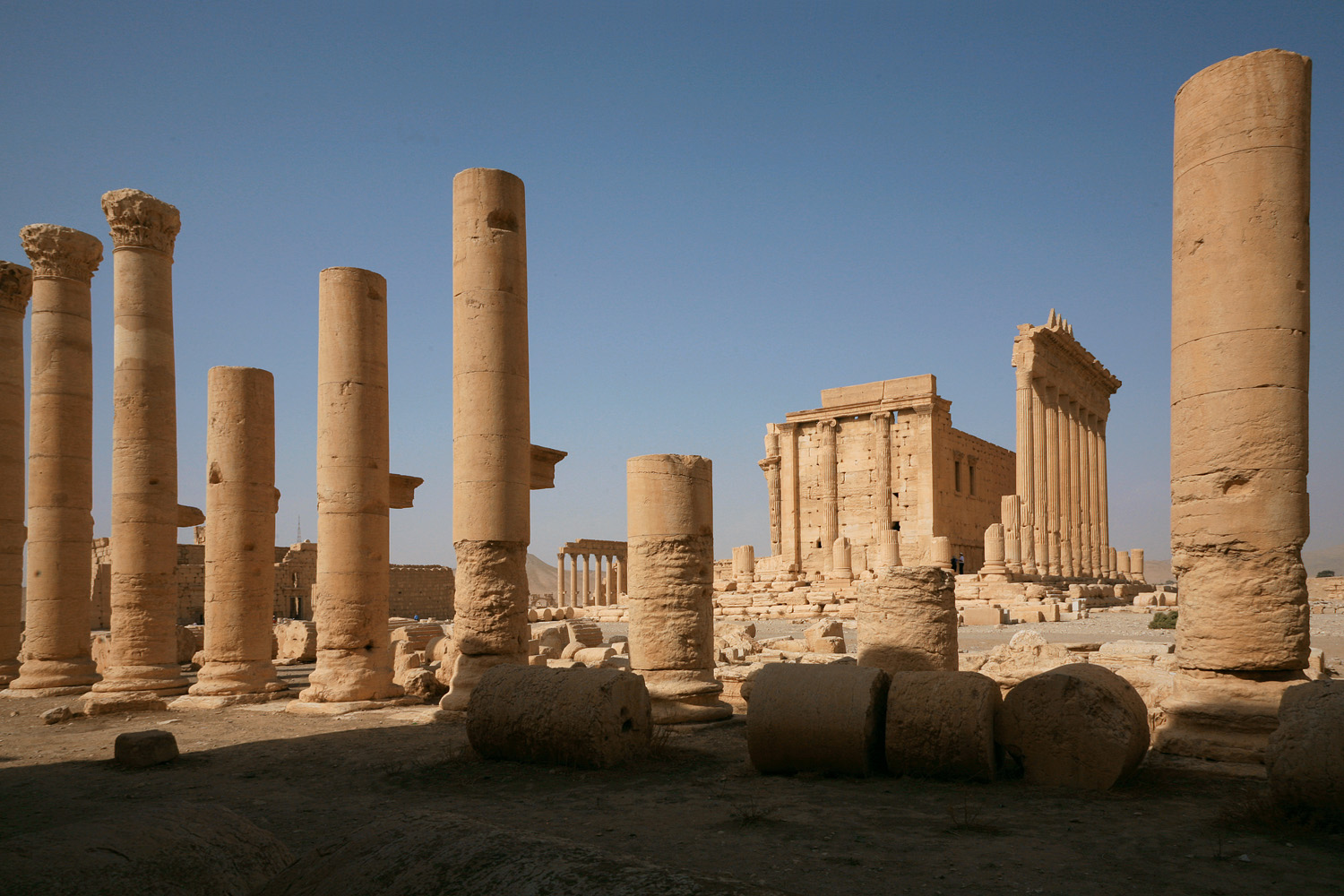 bill-hocker-temple-of-bel-(destroyed-2015)-palmyra-syria-2008