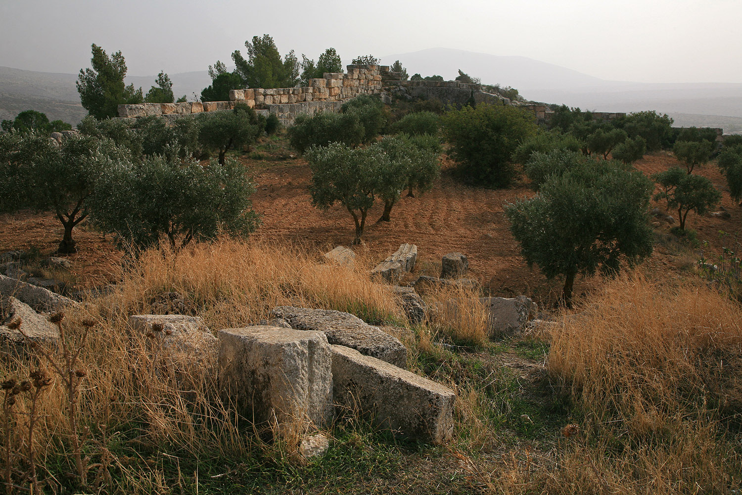 bill-hocker-st-simeon-syria-2008