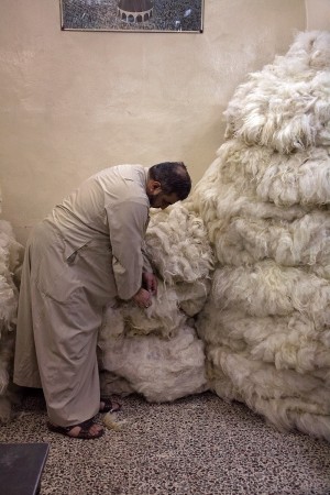 Wool Merchant
Al-Madina Souq
Aleppo, Syria