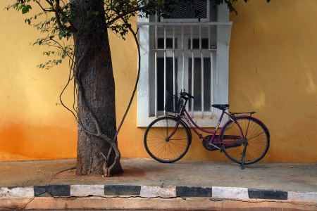 Street Colors
Pondicherry, India