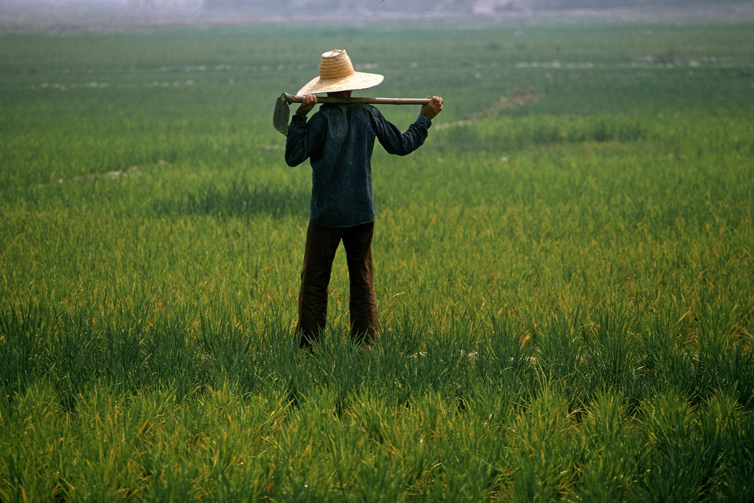 bill-hocker-thailand-1974