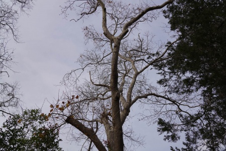 Berkeley, California