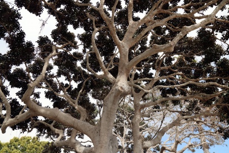 La Jolla, California