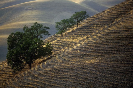 Near Livermore, California