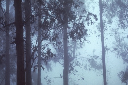 Near San Francisco, California