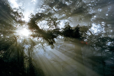 Point Reyes, California