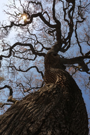 Atherton, California