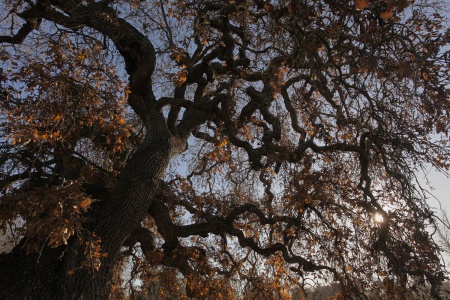 Atherton, California