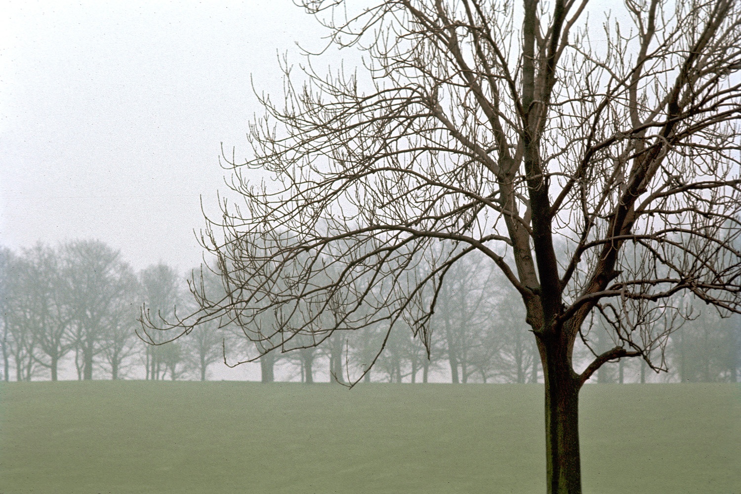 bill-hocker-hampstead-heath-london-1972