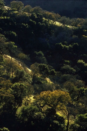 Near Port Costa, California