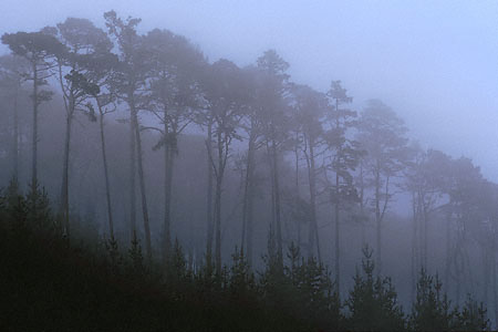 Monterey, California
