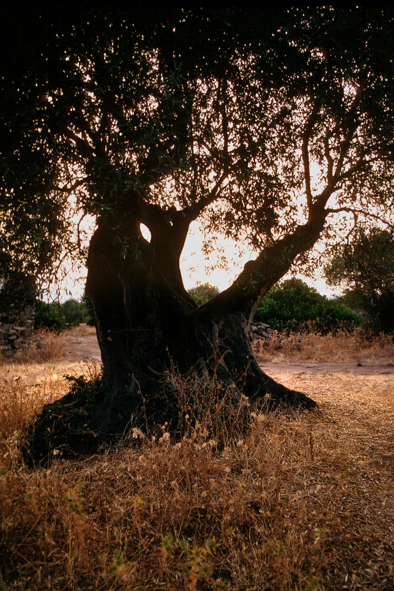 bill-hocker-sardinia-italy-1984